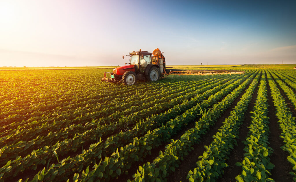 agronomica