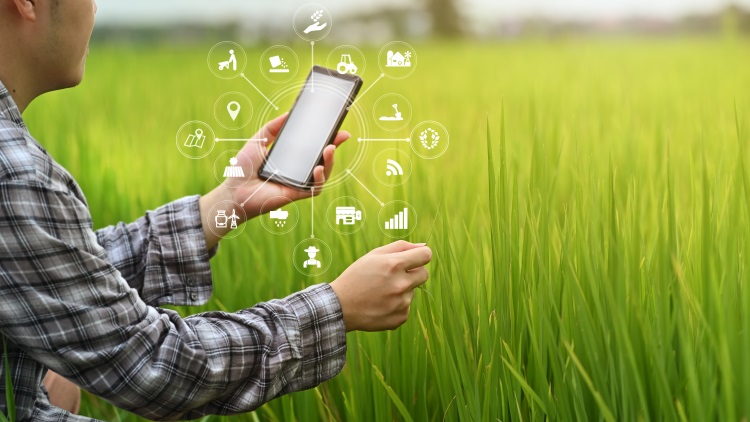tecnologie-agricoltura-4-0-digitale-tecnologia